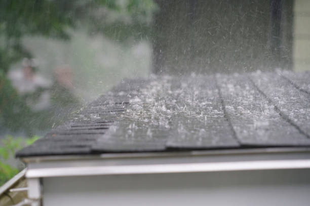 Best Metal Roofing Installation  in Charlotte, MI