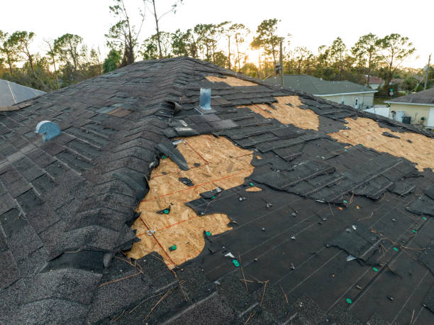 Best Emergency Roof Repair Services  in Charlotte, MI