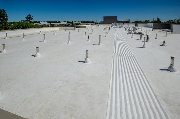 Best Asphalt Shingle Roofing  in Charlotte, MI